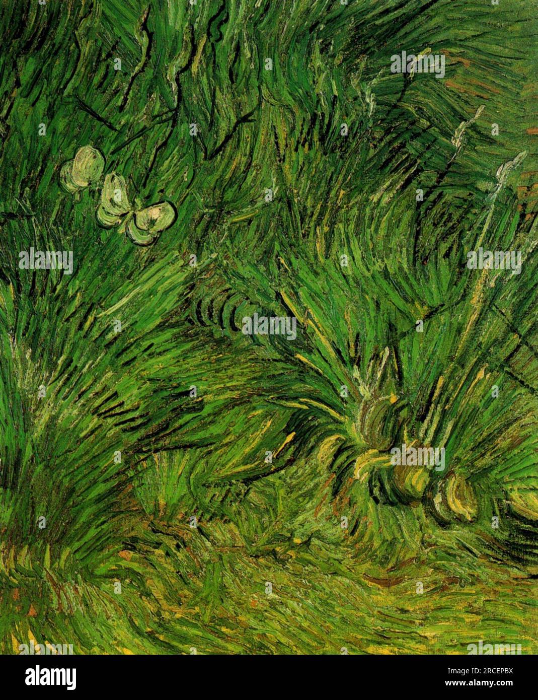 Zwei weiße Schmetterlinge 1889; Saint-rémy-de-provence, Frankreich, von Vincent van Gogh Stockfoto