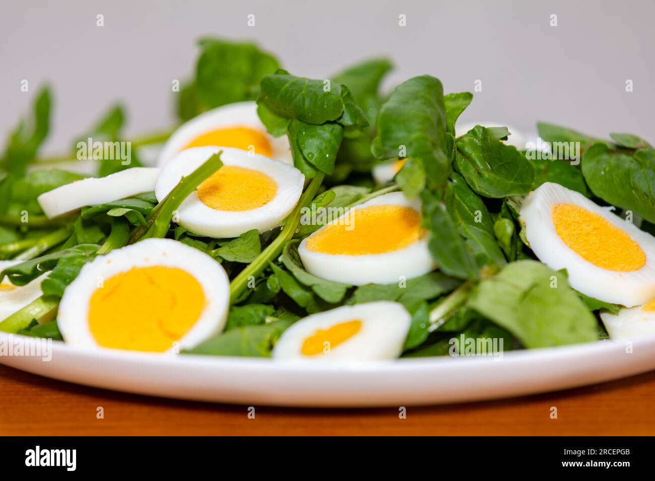 Brunnenkresse salat -Fotos und -Bildmaterial in hoher Auflösung – Alamy