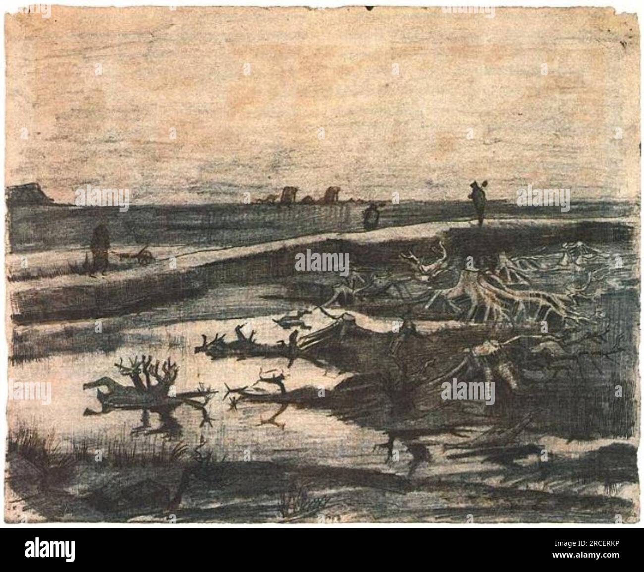 Landschaft mit Bog-Oak-Unterhosen 1883; Niederlande von Vincent van Gogh Stockfoto