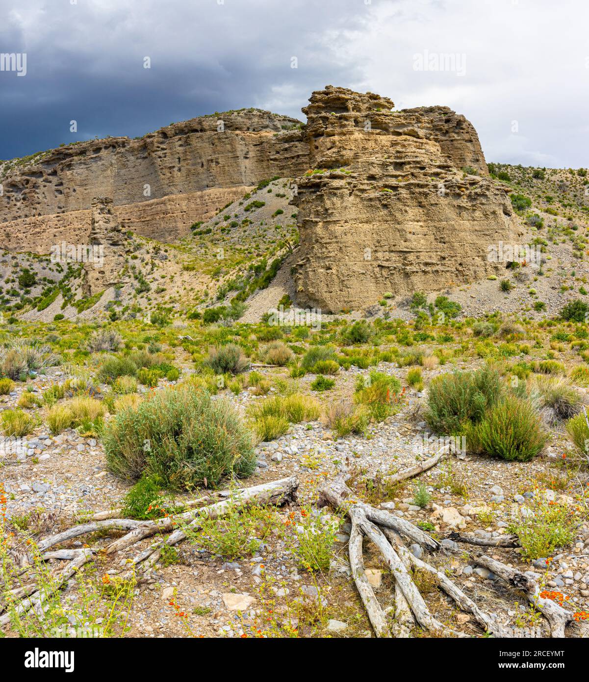 Steinturm und Wildblumen auf der Kyle Canyon Road, Red Rock National Conservation Area, Nevada, USA Stockfoto