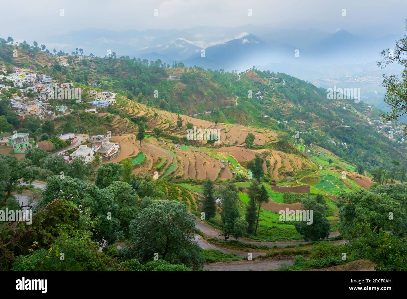 Stufenlandwirtschaft oder Terrassenlandwirtschaft. Steile Hügel oder Berghänge werden so geschnitten, dass sie ebenerdige Flächen für das Anpflanzen von Pflanzen bilden. Neblig, neblig Himalaya Indien Stockfoto