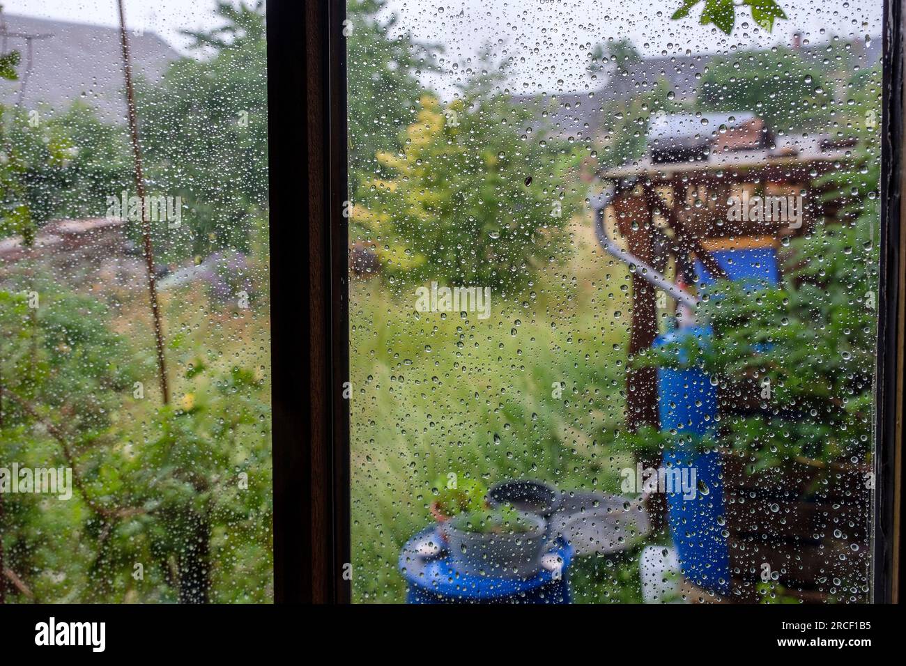 Starker Regen in einem Gartenschuppen und Regenwassergewinnung, um Wassermangel durch den Klimawandel zu verhindern | Pluie forte sur un abri de jardin et re Stockfoto