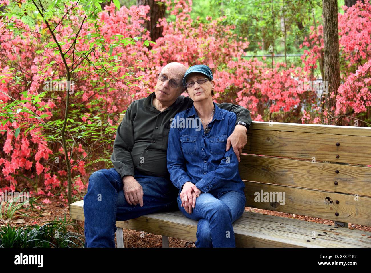 Das liebevolle Paar sitzt auf einer rustikalen Holzbank im South Arkansas Arboretum, einem State Park in El Dorado, Arkansas. Rosa Azaleen blühen alle ar Stockfoto