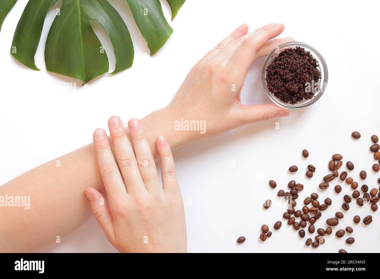 Frauenhände und Kaffee-Peeling auf der Haut. Der Begriff der Naturkosmetik. Flache Zusammensetzung von Kaffeespeeling, Händen, Kaffeebohnen und Monstera Stockfoto