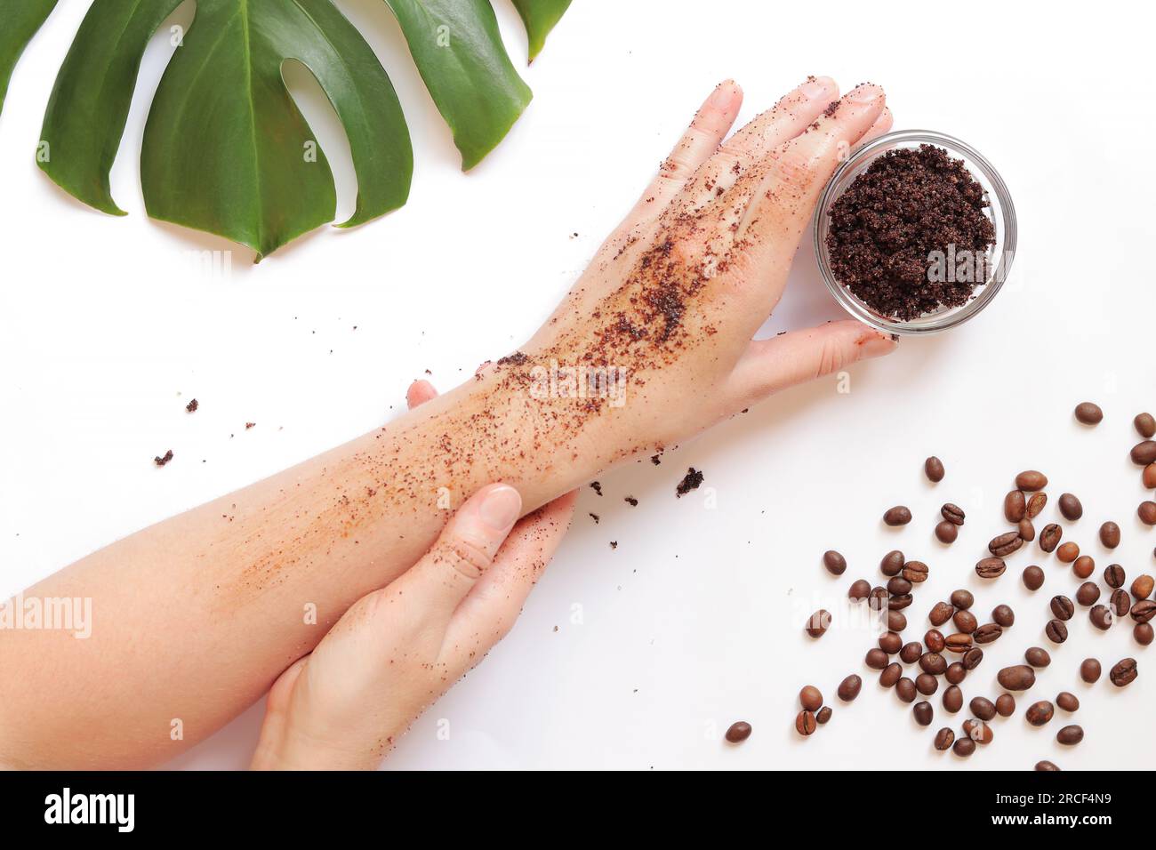 Weibliche Hände tragen Kaffeespeeling auf die Haut auf. Der Begriff der Naturkosmetik. Flache Zusammensetzung von Kaffeespeeling, Händen, Kaffeebohnen und Monstera Stockfoto
