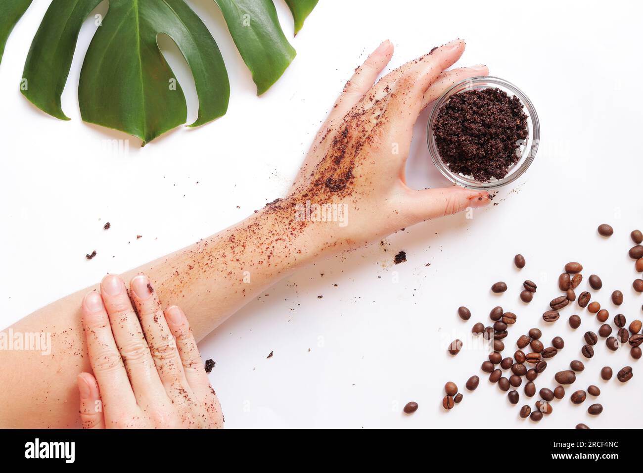 Weibliche Hände tragen Kaffeespeeling auf die Haut auf. Der Begriff der Naturkosmetik. Flache Zusammensetzung von Kaffeespeeling, Händen, Kaffeebohnen und Monstera Stockfoto