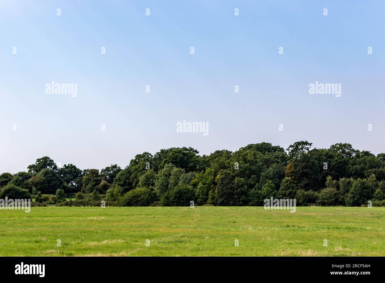 Wunderschönes Landschaftsfoto im Park von London Stockfoto