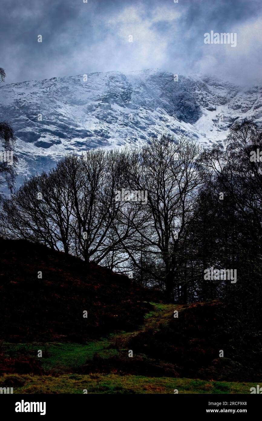 Landschaftlich reizvolle Fotos der Natur im Lake District Stockfoto