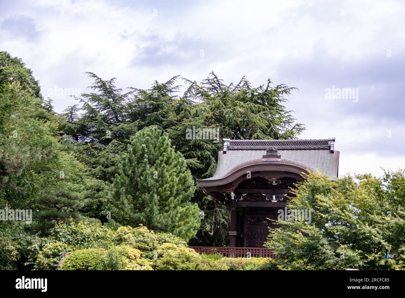 Wunderschönes Foto von der Natur und Landschaft in London Stockfoto