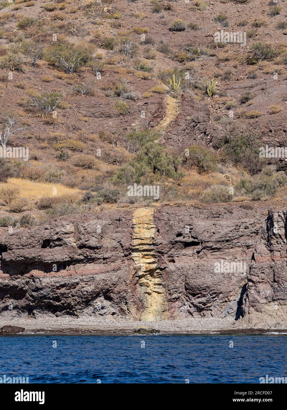 Ein Deich, eine Lesbe, eine Felswand, die sich in einem Bruch eines bereits existierenden Felskörpers, Isla Carmen, Baja California Sur, gebildet hat. Stockfoto