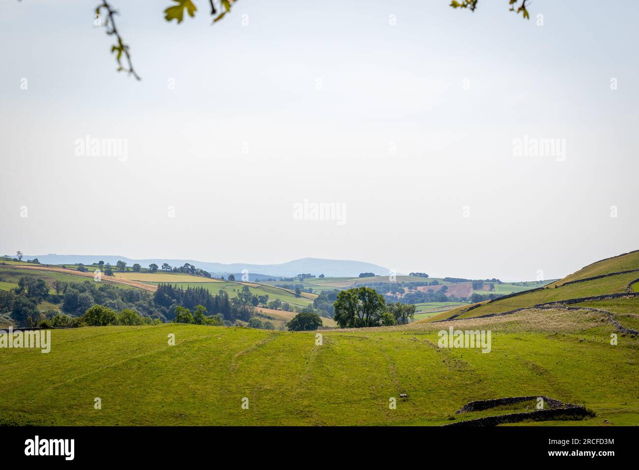 Wunderschöne Aufnahmen aus North Yorkshire Stockfoto