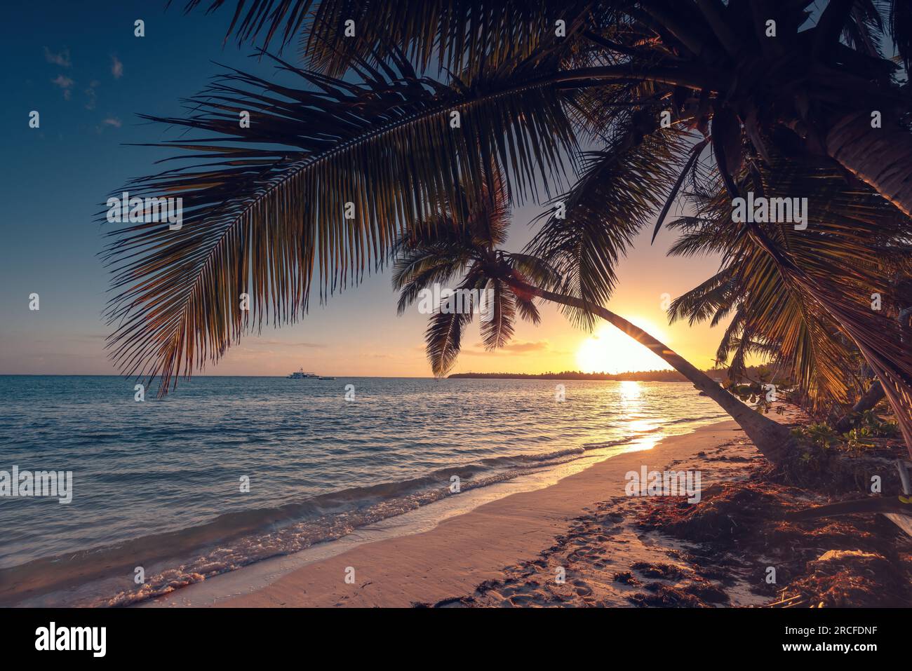 Exotischer Inselstrand mit Palmen am Karibischen Meer, tropisches Sommerziel Stockfoto