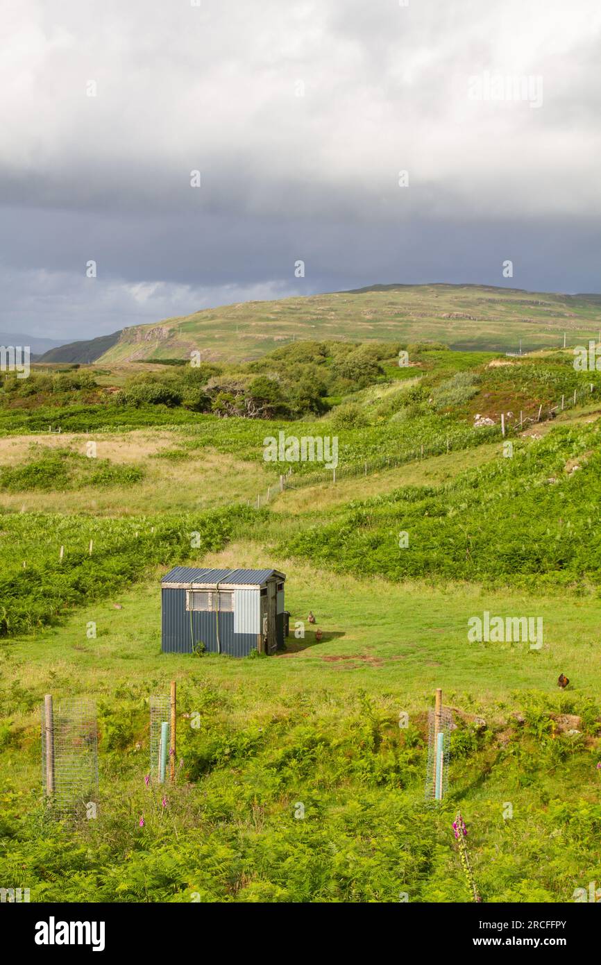 Hühnerstall, Treshnish, Insel Mull, Schottland Stockfoto