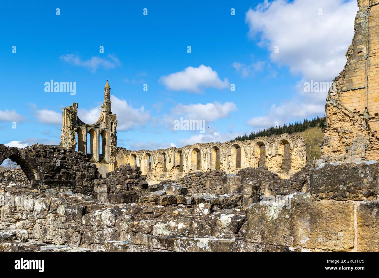 Wunderschönes Foto von Ruinen einer Abtei in Yorkshire Stockfoto