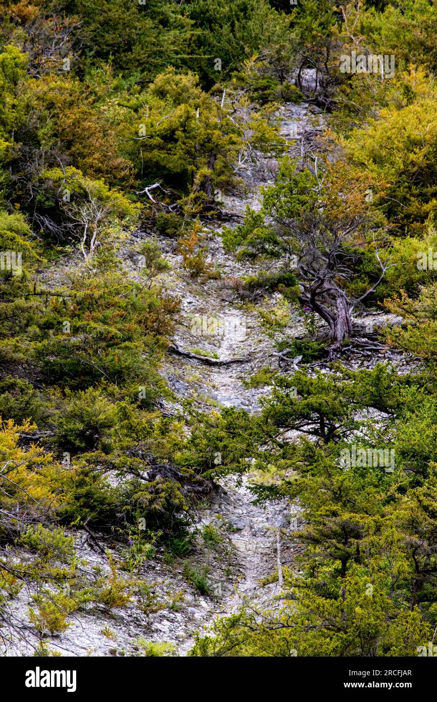 Fantastische Aufnahmen von Natur und Flora und Fauna Stockfoto