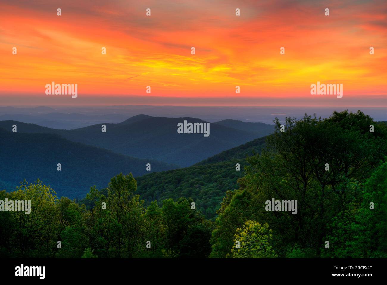 Sonnenaufgang in den Blue Ridge Mountains, Shenandoah-Nationalpark, Virginia, USA Stockfoto