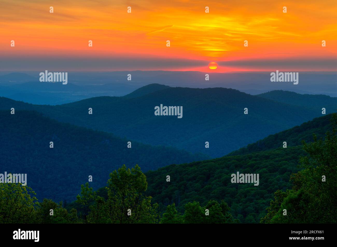 Sonnenaufgang in den Blue Ridge Mountains, Shenandoah-Nationalpark, Virginia, USA Stockfoto