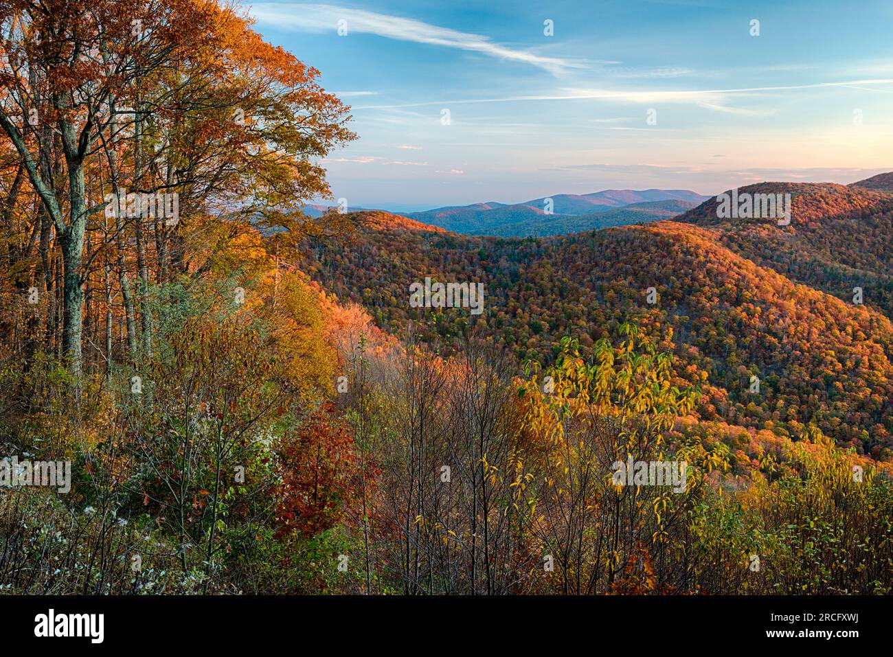Herbstvormittag im Shenandoah-Nationalpark, Virginia, USA Stockfoto
