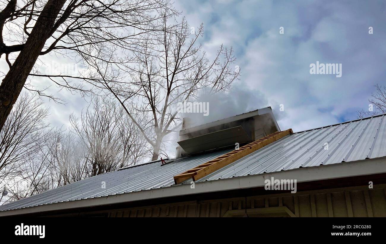 Niedriger Winkel mit Blick auf Dach und Kamin Stockfoto