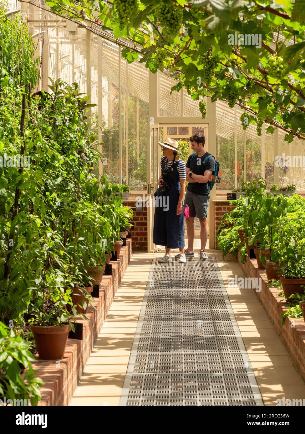 Besucher in einem viktorianischen Gewächshaus im Paradise Garden bei RHS Bridgewater. Salford. UK Stockfoto