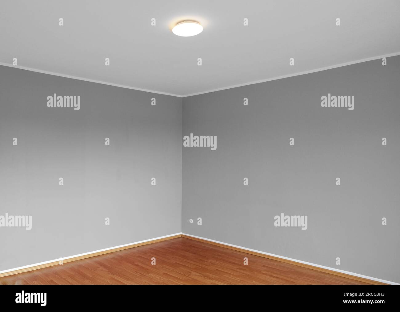Ecke eines leeren Wohnzimmers mit grau bemalten Wänden und Holzparkett in einem Apartment, Hintergrundkonzept für Architektur, Unterkunft oder Innenausstattung Stockfoto