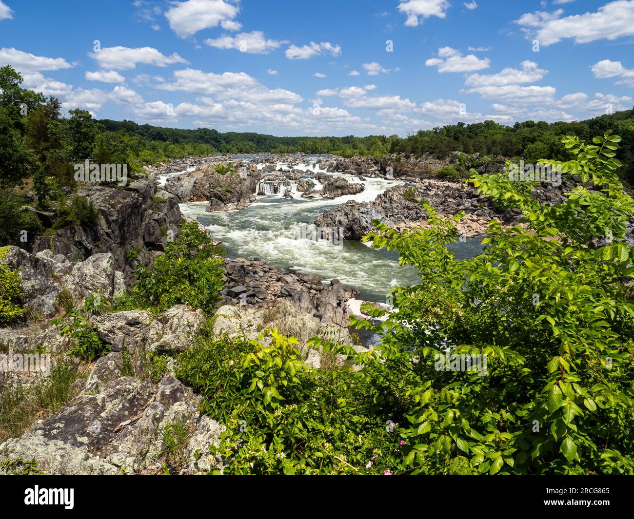 Majestätische Great Falls brüllen und kaskadieren in einem atemberaubenden Schauspiel natürlicher Schönheit. Die Stadt in Virginia, USA, begeistert mit ihrem beeindruckenden Stockfoto