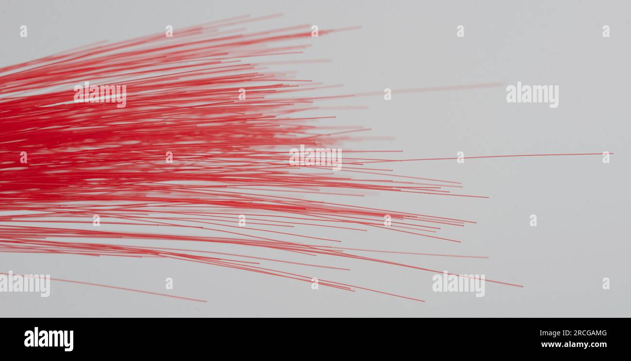 Makro mit orangefarbenen Haarenden, isoliert auf weißem Studiohintergrund Stockfoto