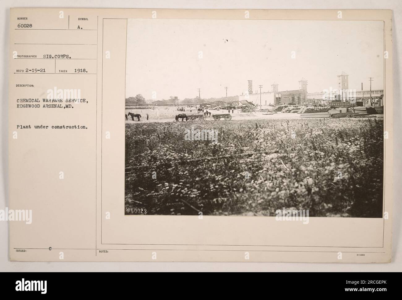 Bau eines Werks am Edgewood Arsenal in Maryland für den Chemischen Kriegsdienst im 1. Weltkrieg Das Foto wurde 1918 aufgenommen und trägt das Symbol A für den Chemical Warfare Service. Das Foto ist Teil der Armeesignalkorps-Sammlung mit der Kennung 9060028. Stockfoto