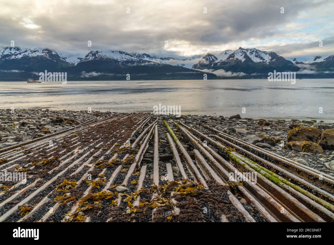 Verschlissene und verrostete Eisenbahnabschnitte alter Eisenbahnschienen, die an einer felsigen Küste liegen, teilweise bedeckt mit Barnius und Seetang, Seward, Alaska Stockfoto