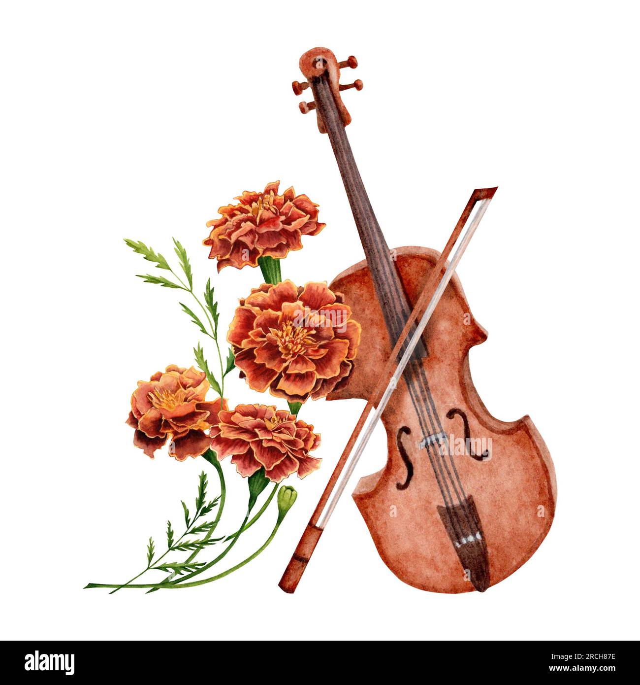 Aquarell Geige und Marigold Blumen handgezeichnete Illustration isoliert auf weißem Hintergrund. Stockfoto