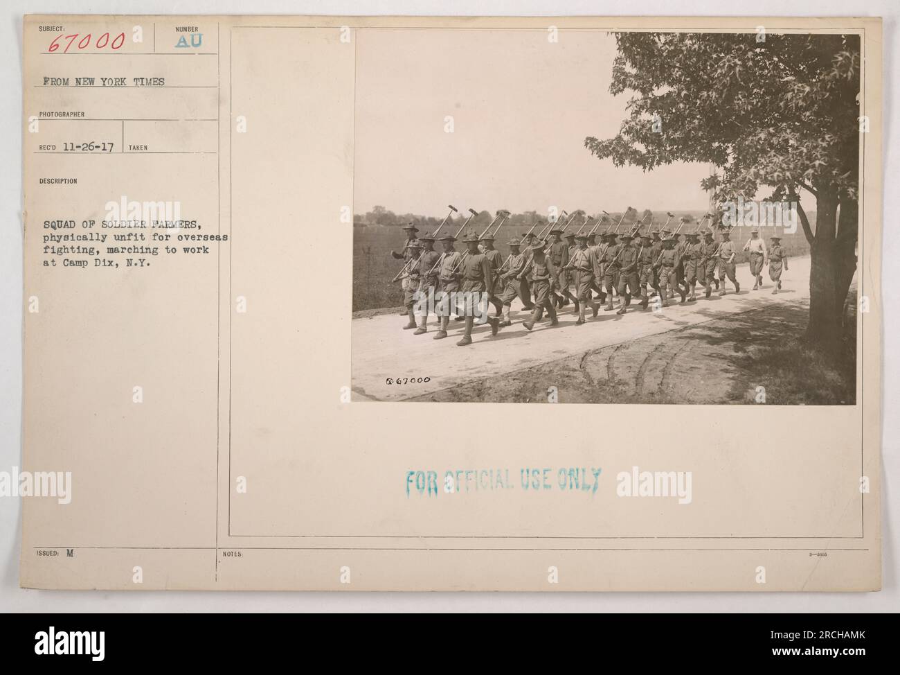 Eine Gruppe von Soldatenbauern, die als körperlich untauglich für Überseekämpfe galten, marschiert zur Arbeit in Camp Dix in New York. Das Foto wurde von einem New York Times Fotografen am 26. November 1917 aufgenommen und ist unter der Referenznummer AU SQUAD OF SOLDIER FARMERS 18 M aufgeführt. Bitte beachten Sie, dass weitere Einzelheiten unter der Referenznummer 867000 nur für den offiziellen Gebrauch klassifiziert werden. Stockfoto