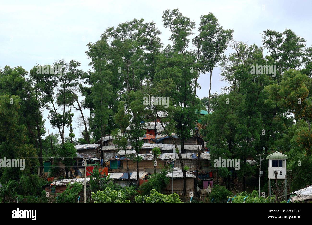 Coxsbazar, Ukhiya, Bangladesch. 15. Juli 2023. 15. Juli 2023. Coxsbazar, Bangladesch : das Flüchtlingslager Bazar Rohingya von Cox in Bangladesch nimmt zu Dengue-Ausbruch nimmt in den Rohingya-Lagern zu. Die neueste Nachricht von 947, dass Rohingya mit Dengue diagnostiziert wird, verbreitet Besorgnis in den bewussten Kreisen. Unter den Infizierten sind im letzten Monat drei Menschen, darunter ein Kind, gestorben.von den 33 Rohingya-Flüchtlingslagern in Cox's Bazar weisen die vier Lager in Ukhia die höchste Dengue-Rate auf.Laut einer Stockfoto