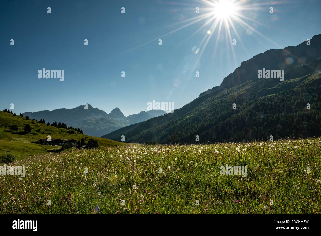 Berglandschaften von Radons - Schweiz Stockfoto