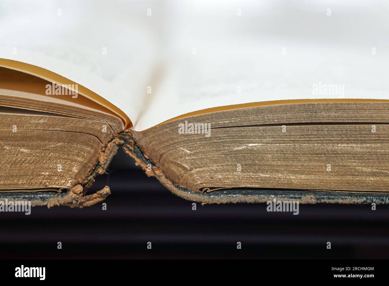 Ein offenes Buch. Ein antikes getragenes offenes Buch, das von oben gesehen wird, mit goldfarbenen Seitenkanten und einem Kopierbereich oben. Stockfoto