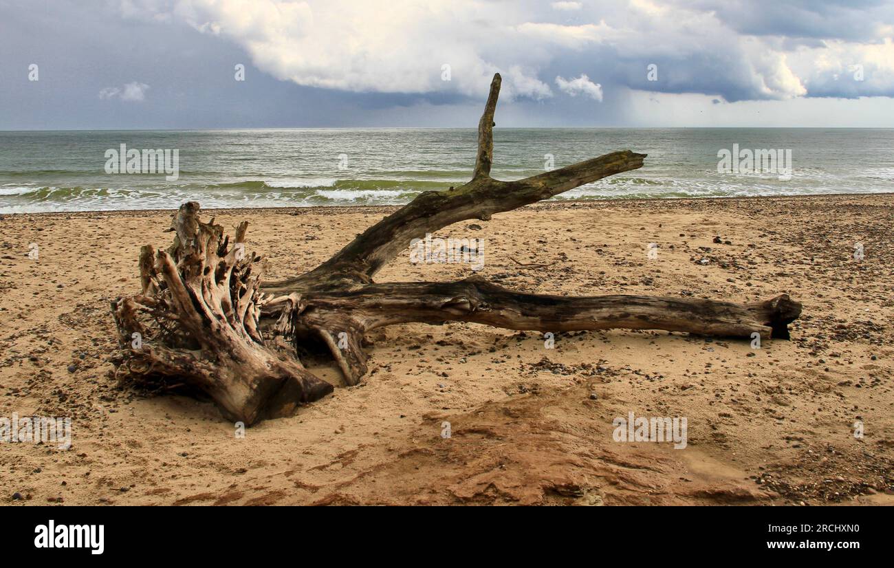 Stürmischer Tag in Covehithe, Suffolk Stockfoto