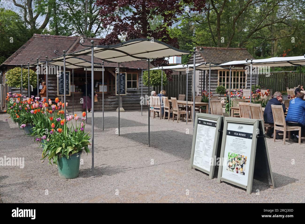 Betty's Teehaus, RHS Harlow Carr, Harrogate Stockfoto