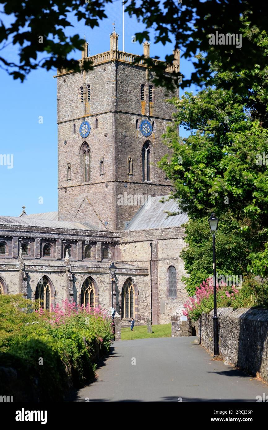 Pfad zur St Davids Cathedral St Davids Pembrokeshire Stockfoto