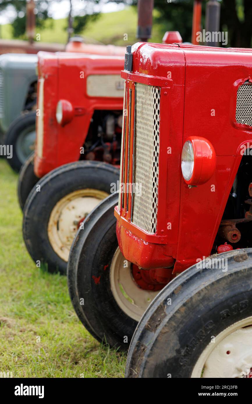 Traktoren auf der Neath Steam and Vintage Show Neath und Port Talbot Wales Stockfoto