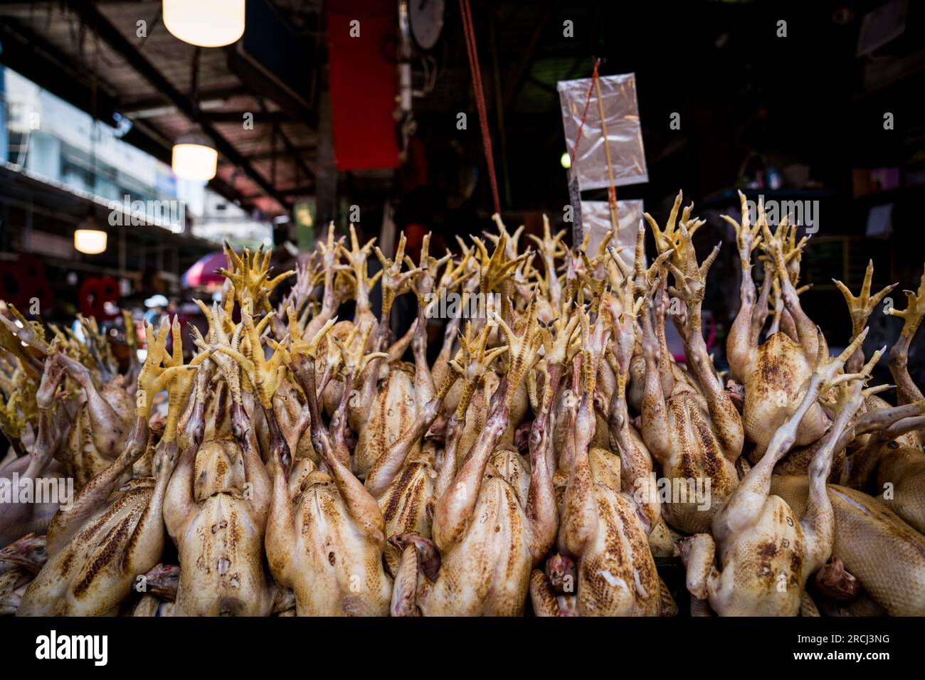 Bangkok, Thailand. 15. Juli 2023. Zum Verkauf stehende Hühner auf einem Frischmarkt in Khlong Toey gesehen. Kredit: SOPA Images Limited/Alamy Live News Stockfoto