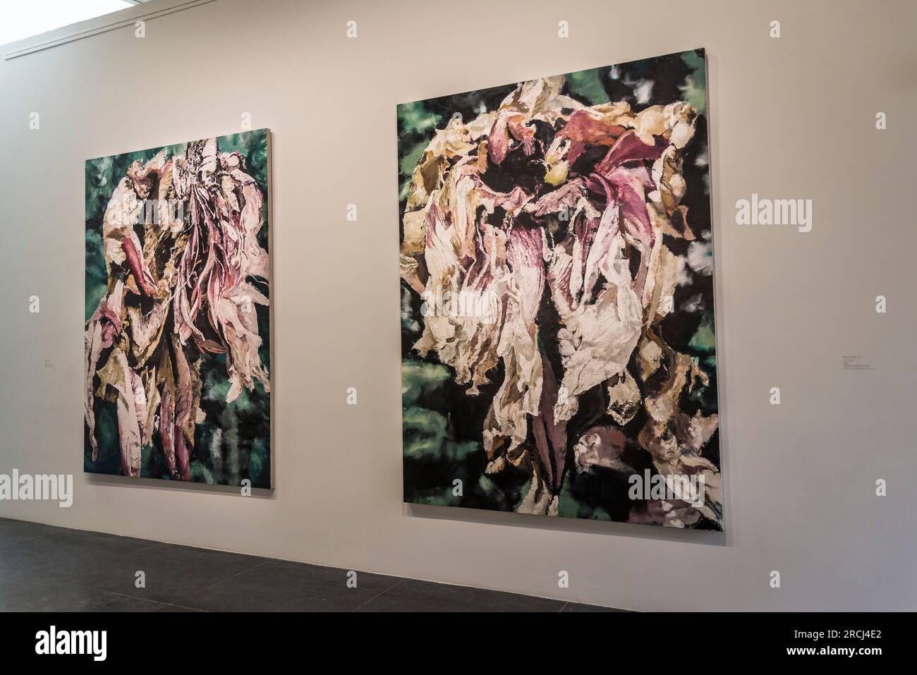 Philippe Cognée Retrospektive Ausstellung im Musée Bourdelle. Paris, Frankreich Stockfoto