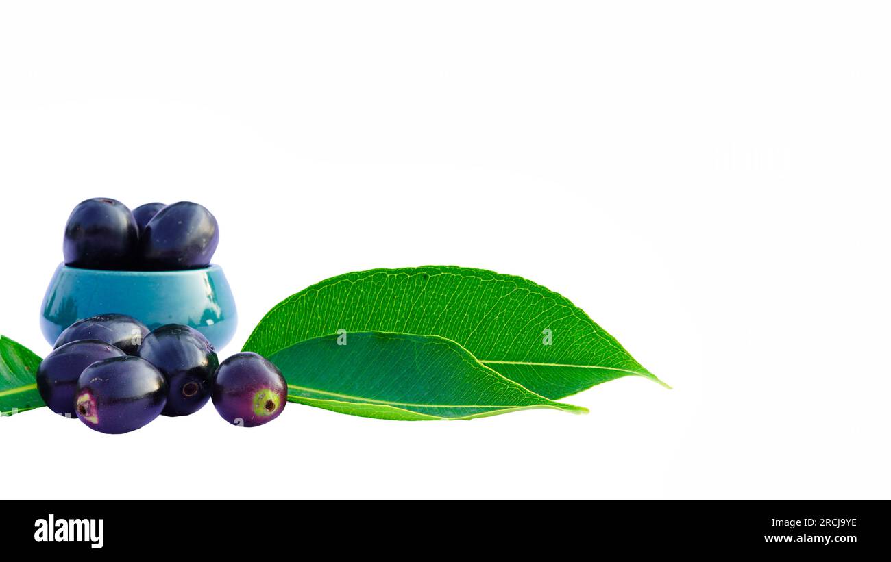 Jamun oder Syzygium Cumini in einer Keramikschüssel mit Blättern auf weißem Hintergrund mit Kopierraum, auch bekannt als Java Plum, Malabar Plum, Black Plum Stockfoto