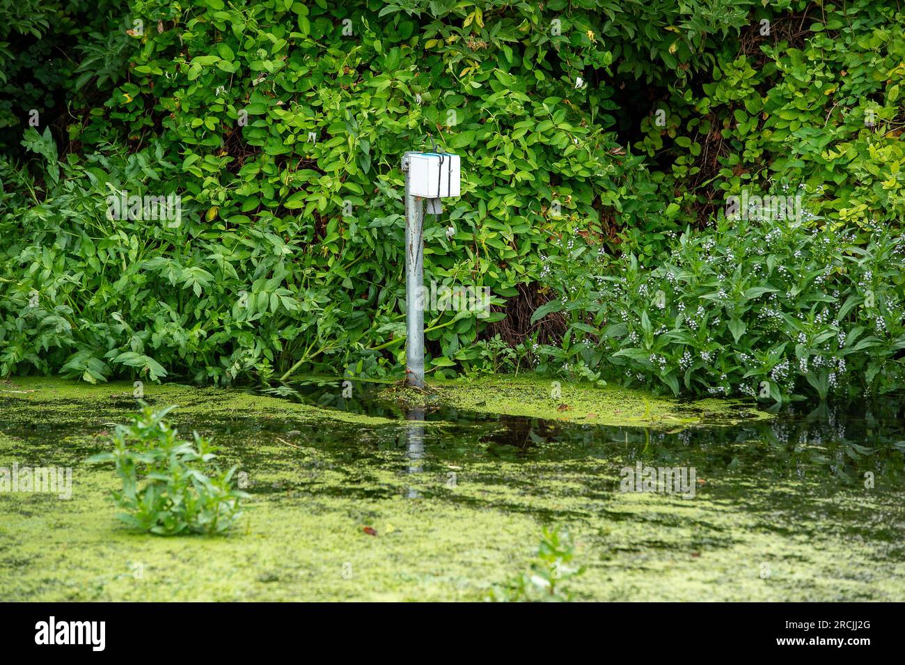 Colenorton halbmond Fotos und Bildmaterial in hoher Auflösung Alamy