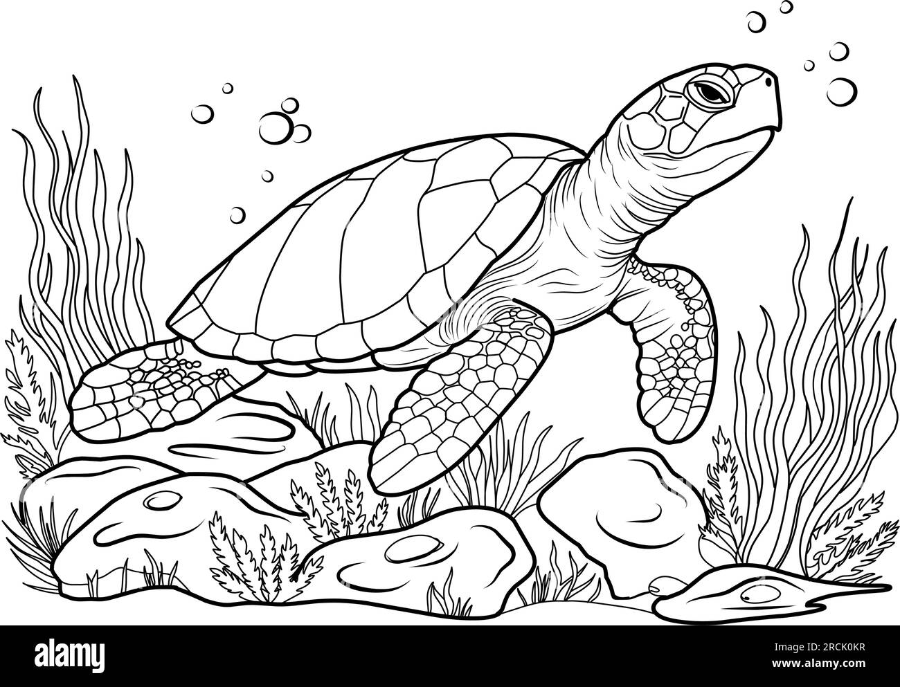 Große Meeresschildkröte, süße gestreifte Fische in der Unterwasserwelt mit Algen, Sand, Blasen auf weißem, isoliertem Hintergrund. Gut für Kinder und Erwachsene Farbtöne Stock Vektor