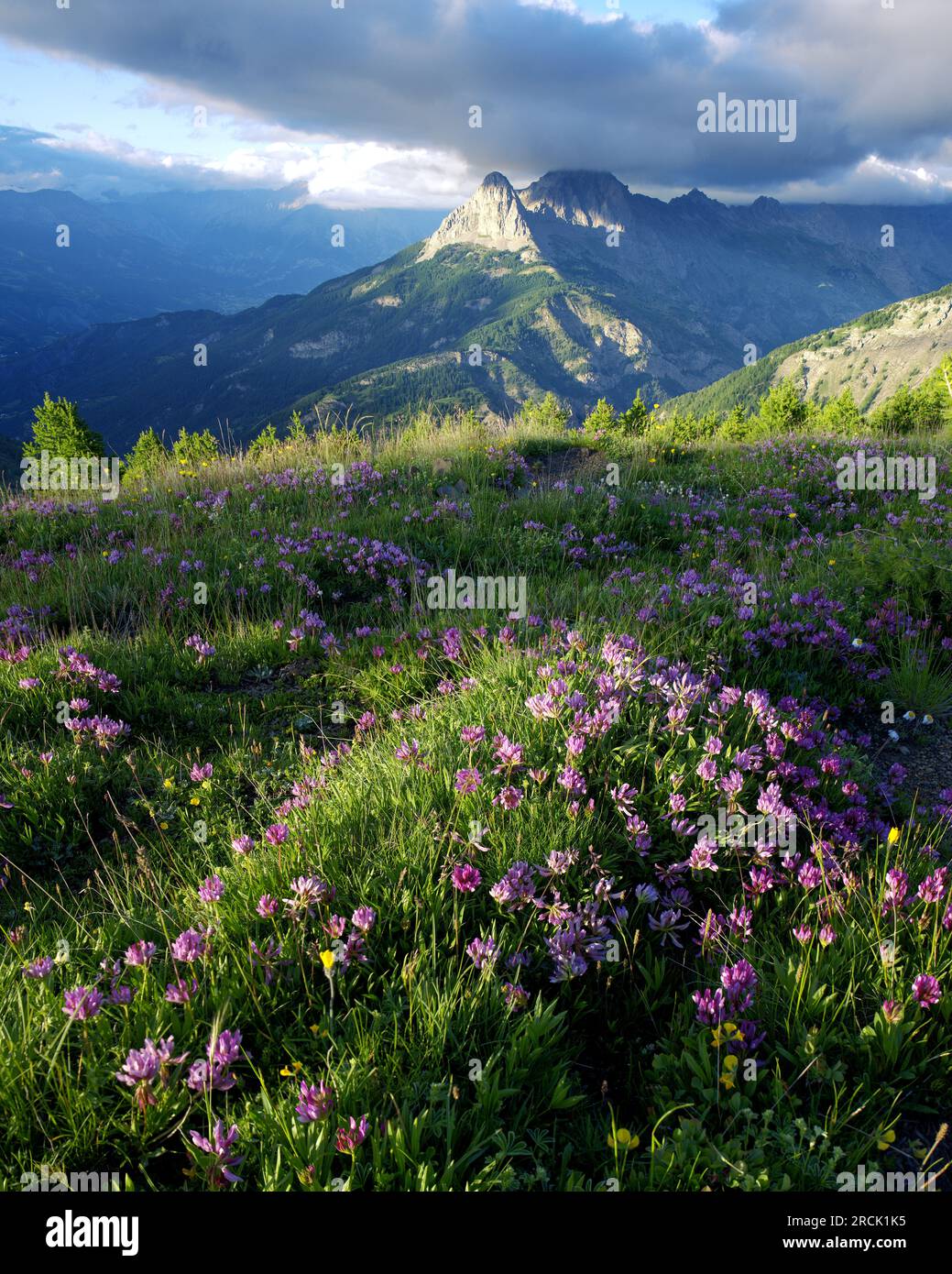 Landschaft rund um die Col of Allos in den Alpes, Frankreich. Stockfoto