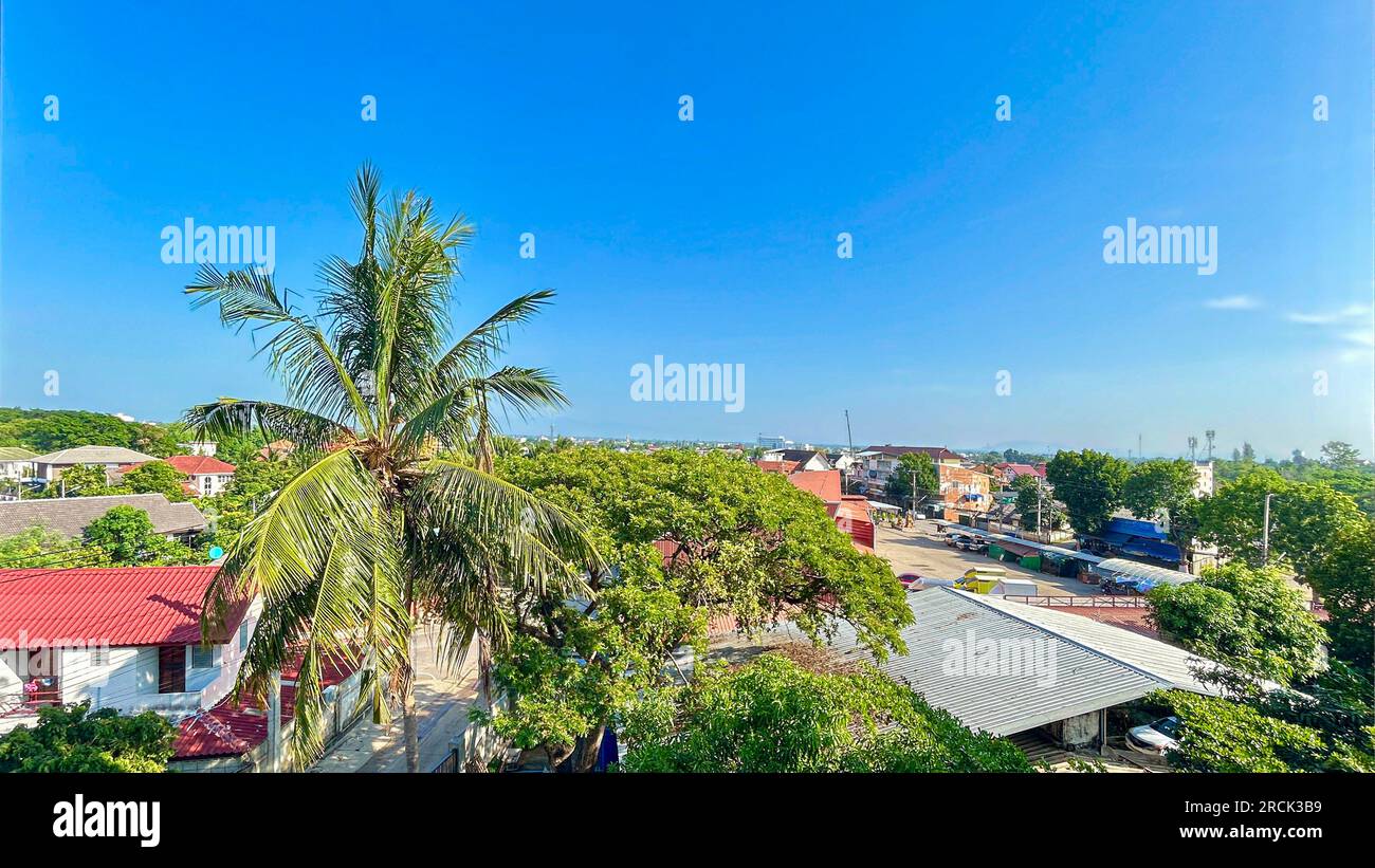 Kokospalme auf dem Dach eines Gebäudes in Thailand Stockfoto