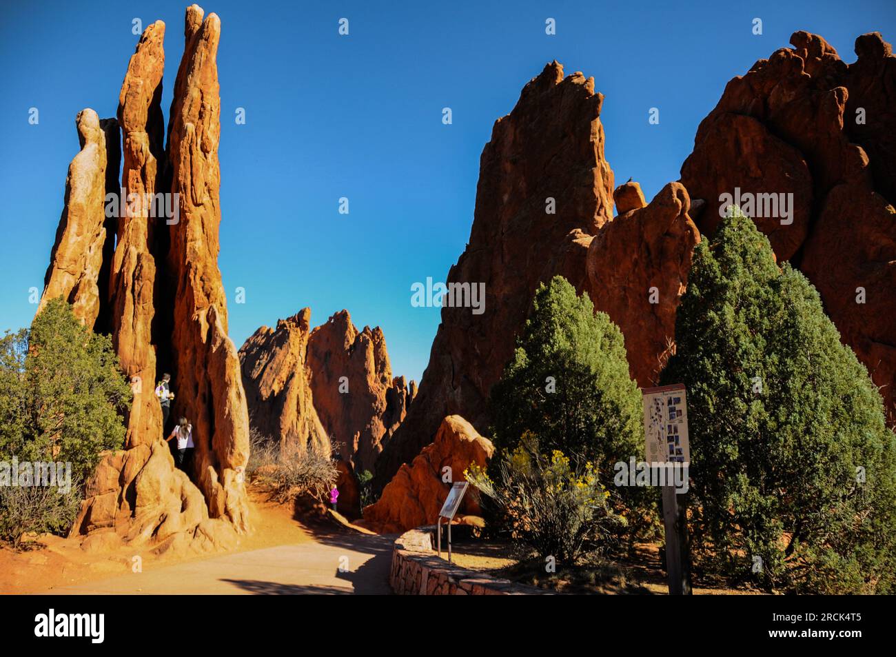 Rote Felsformationen im Garden of the Gods Park, Colorado Springs, USA Stockfoto
