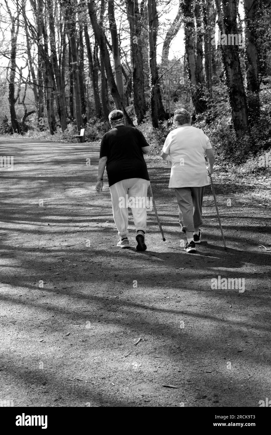 Zwei Frauen wandern auf dem Virginia Creeper Trail, einem beliebten Wander-, Jogging-, Wander- und Radweg in Abingdon, Virginia. Stockfoto