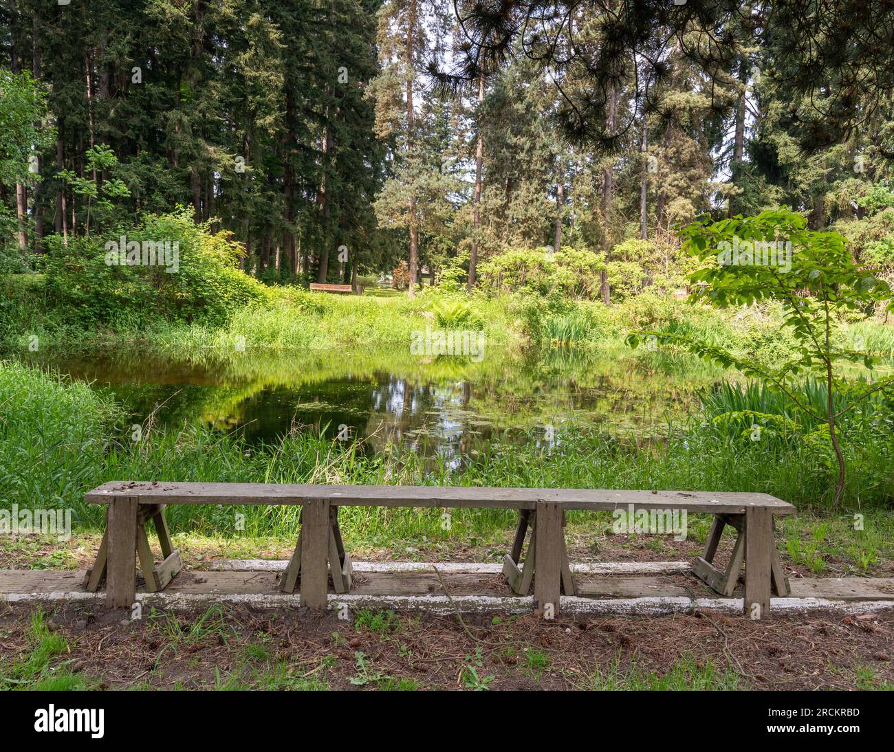 Parkbank aus Holz am Ufer des Teiches im Stillaguamish Valley Park in Arlington Stockfoto