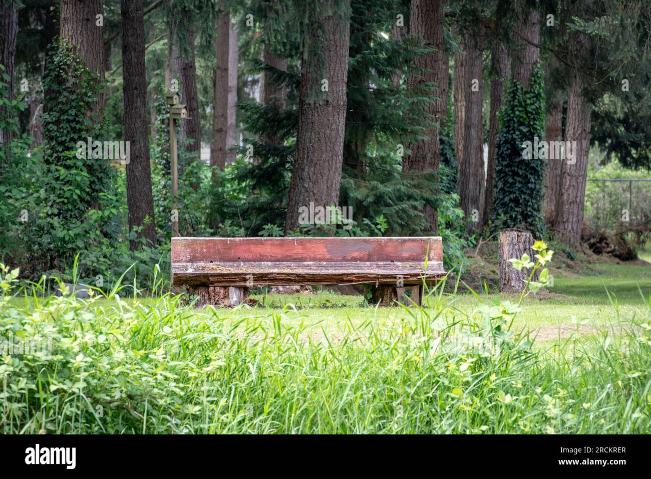 Parkbank aus Holz am Ufer des Teiches im Stillaguamish Valley Park in Arlington Stockfoto