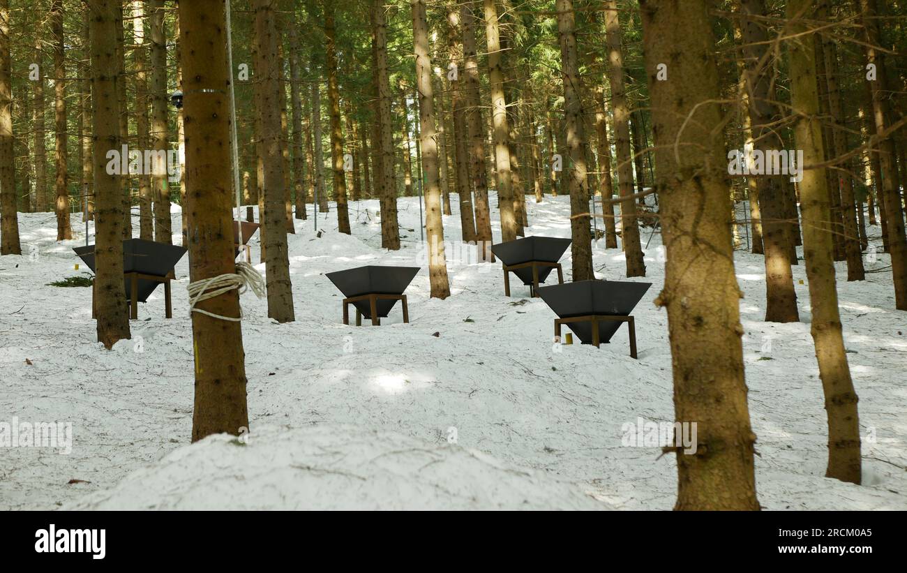 Pheromonfalle Insekten Tanne Waldfichte Winter Schneezeit Pestizidbox mit Insekten Pheromone große Fichtenrinde Käfer Baum Wälder Berge Rindenkäfer Stockfoto